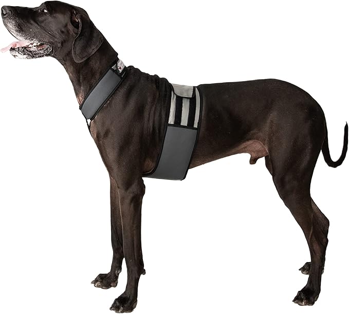 CoolerDog Dog Cooling Vest and Cooling Collar - Ice Vest for Dogs (XL)