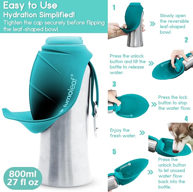 Stainless Steel Dog Travel Water Bottle — 27oz, Portable Bowl, Walking & Hiking (Blue)