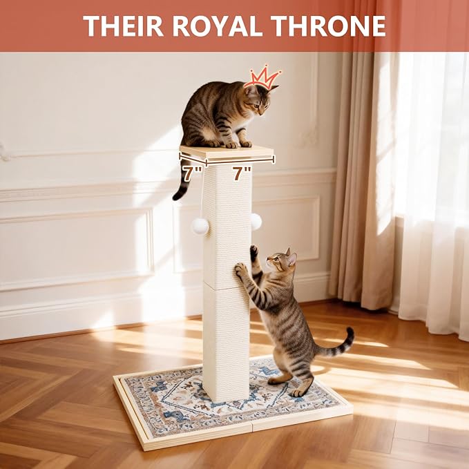 Tall Cat Scratching Post Cat, Modern Cat Scratcher for Indoor Cats, Cat Scratch Post with Carpet, Natural Sisal, Dangling Toy Balls and Perches, for Kittens & Adults