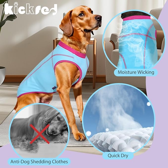 2 Pack Dog Summer Clothes Color Blocking Dog Shirts for Medium/Large Dogs Stretchable Doggy Cooling Vest Breathable Sun Protection Shirt Fashion & Bright Color for Boys Girls