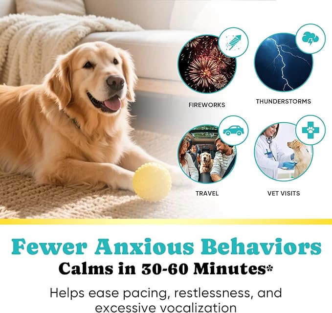 Calming Chews for Dogs – GABA & Melatonin for Fast-Acting Relief – Long-Lasting Support with Ashwagandha – Stress & Anxiety Relief Treats for Dogs – Thunder, Separation, Travel & Fireworks – 180 Chews