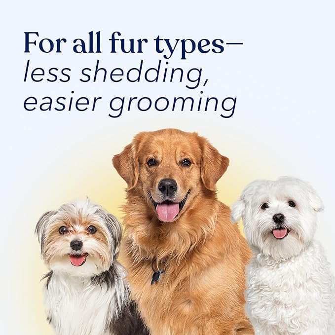 Honest Paws Dog Dry Shampoo - Waterless No Rinse Spray Formula Reducing Itch Cleanse Hydrate Nourish Dry Skin and Smelly Coat Help Decrease Odor Shedding and Allergies - Coconut & Mango - 8 oz