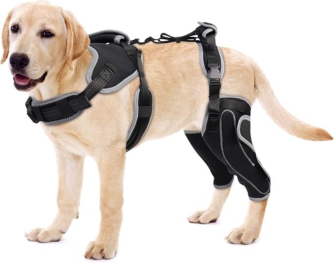 Dog Knee Support for ACL Tear Rehabilitation and Dislocated Patella -Adjustable Leg Support and Sufficient Breathability,Injury Recovery and Balance Assistance-Both Leg-XL Size