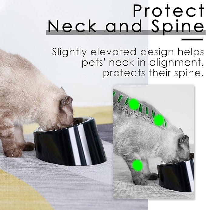 SuperDesign Small Tilted Dog Bowl for Flat-Faced Breeds, Slanted Bulldog Feeder with 2 oz / 0.5 Cup Capacity, 15° Angled Feeding Bowl for Puppies, Cats & Small Dogs, Dark Black