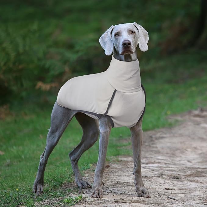 ROZKITCH Dog Winter Coat Soft Pullover Pajamas, Pet Windproof Warm Cold Weather Jacket Vest Cozy Jumpsuit Apparel Outfit Clothes for Walking Hiking Travel Sleep Grey 4XL