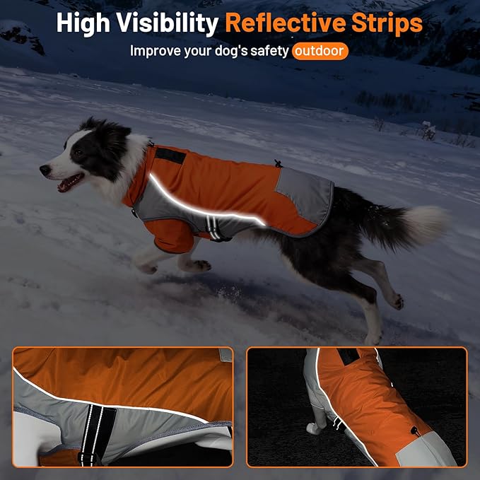 Warm Dog Cold Weather Coats - Waterproof Dog Winter Clothes with Reflective Straps, Adjustable Buckle & Leash Hole for Poodle, Dachshund,Border Terrier, Yorkshire Terrier，Orange & Gray M