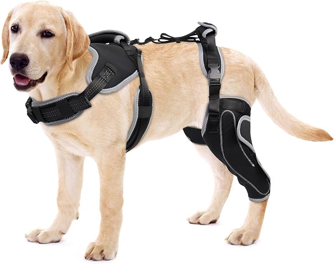 Dog Knee Support for ACL Tear Rehabilitation and Dislocated Patella -Adjustable Leg Support and Sufficient Breathability,Injury Recovery and Balance Assistance-Left Leg-L Size