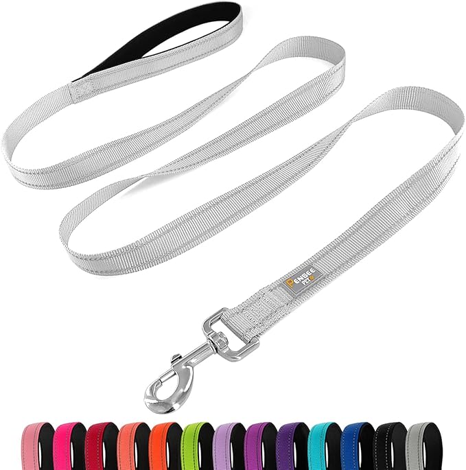 Dog Leash 6 FT Padded Handle Nylon Reflective Dogs Leashes for Medium Dogs Silver