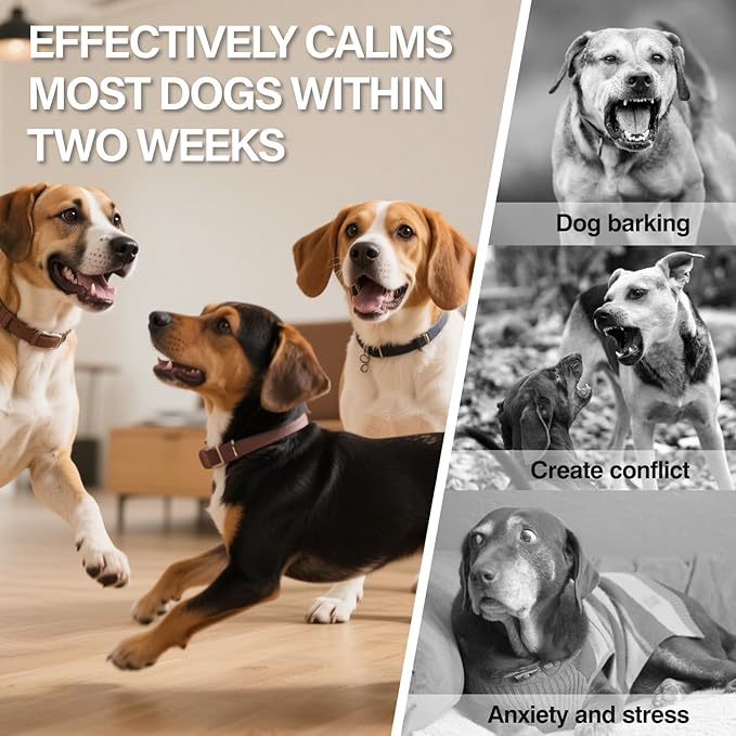 SHANDR Dog Calming Pheromones Diffuser 4 in 1 Appeasing Relaxing Diffuser with Timing Function Pet Kit Anxiety Relief Reduce Aggression Barking Fighting Stress (2 Plug in +2 Refill 48ml)