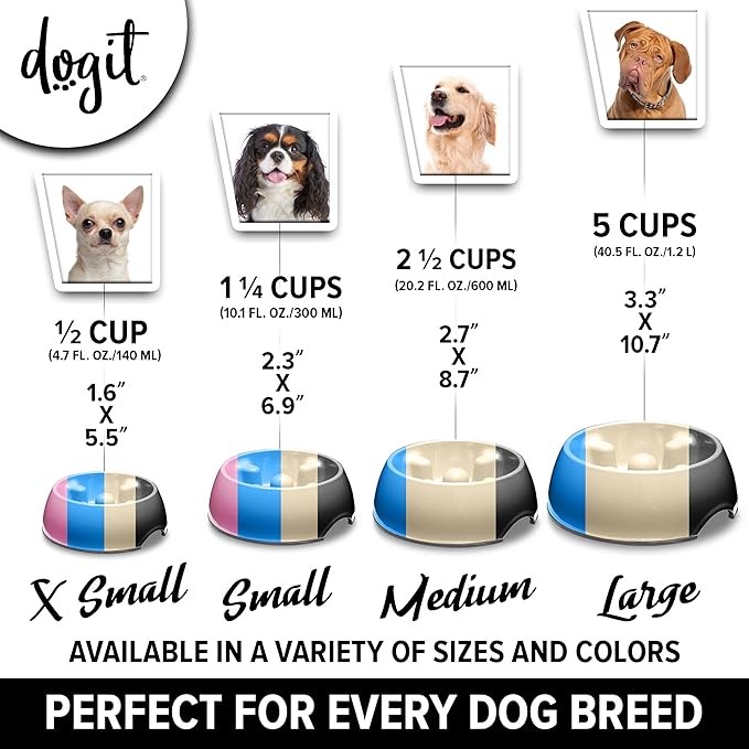 Dogit Dog Bowl Slow Feeder for Wet or Dry Dog Food, Go Slow Anti-Gulping Dog Dish, Blue, S