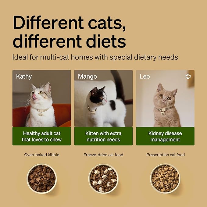 RFID Smart Cat Feeder for 2 Cats — Collar Tag Activated, Diet Tracking, Pack of 2
