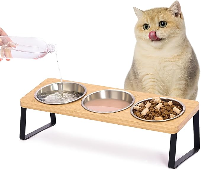 Elevated Cat Bowls for Cats and Puppies, Whisker-Friendly 15° Tilted Raised Cat Food Bowl, Anti-Vomiting Design with 3 Stainless Steel Dishes