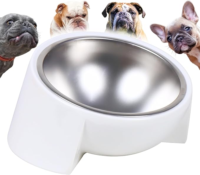 Tilted Dog Bowl for Flat-Faced & Senior Dogs, 15° Slanted Stainless Steel Dog Food Bowl, Elevated Pet Feeder for Small & Medium Dogs, Comfortable Eating Design (White, M (420 ML / 2 Cups))