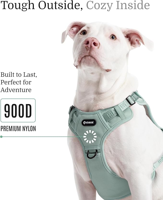 2025 New Edition, Fei & Eve Classic Dog Harness - Quick-Release Buckles | 3-Point No-Pull Control | Heavy-Duty 900D Nylon | Dual Safety Handles | Breathable Mesh | Adjustable Fit | Large,Green