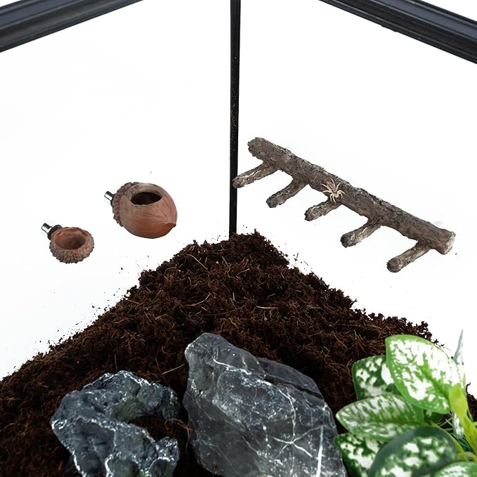 REPTI ZOO Jumping Spider Hideout and Feeding Dish, Nut Shaped Hide and Cave Sets for Spider Playing, Feeding and Climbing, Pet Spider Enclosure Accessories