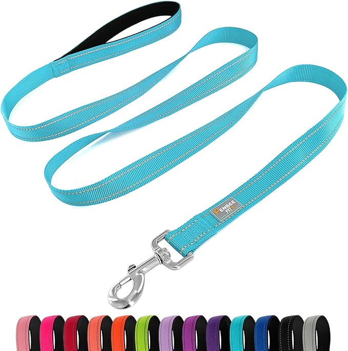Dog Leash 6 FT Padded Handle Nylon Reflective Dogs Leashes for Large Dogs Sky Blue