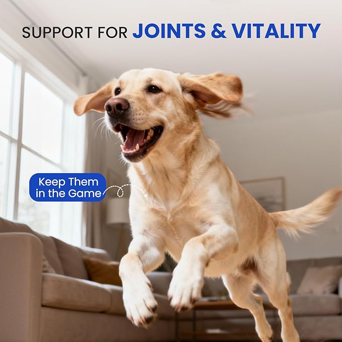 Omega 3 Fish Oil for Dogs & Cats- 150 Softgels for Skin, Coat & Joint Support | Naturally Palatable Fast-Absorbing Supplement with EPA & DHA | Made from Wild-Caught Fish