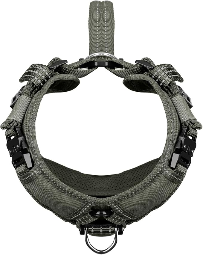 ICEFANG Dog Strap Harness with All-Metal Hardware,for Small Sized Dog,K9 Vest,Y-Shape Soft Padding,Adjustable Pet Harness,No-Pull Front Leash Clip (Small (Pack of 1), Green)