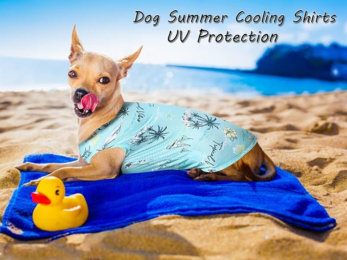 Dog Summer Cooling Shirts,Sun Protection Quick Dry Mesh Breathable Small Puppy Tee-Shirt,Red+Blue S