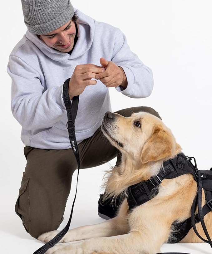 2025 New Edition, Fei & Eve Classic Dog Harness - Quick-Release Buckles | 3-Point No-Pull Control | Heavy-Duty 900D Nylon | Dual Safety Handles | Breathable Mesh | Adjustable Fit | Medium,Black