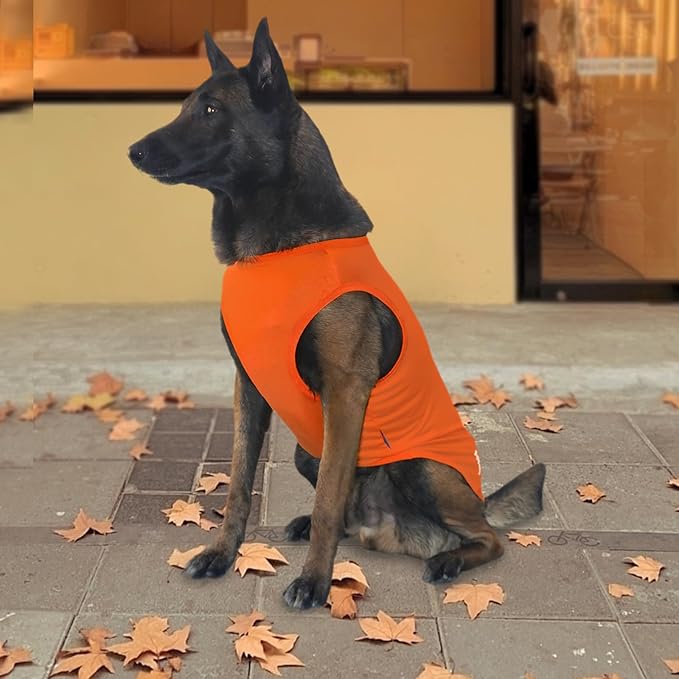 2 Pack Dog Shirts, Breathable Mesh Dog Clothes Pet Sleeveless Vest, Lightweight Stretchy Tank Top T-Shirts for Large Dogs, XXL