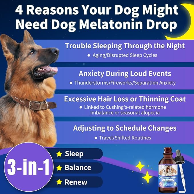 Melatonin for Dogs with L-Theanine & Chamomile | Anxiety Relief & Calming, Relaxation & Sleep Support Liquid Dog Melatonin | Fast-Absorbing & Bacon Flavor (1 PC)