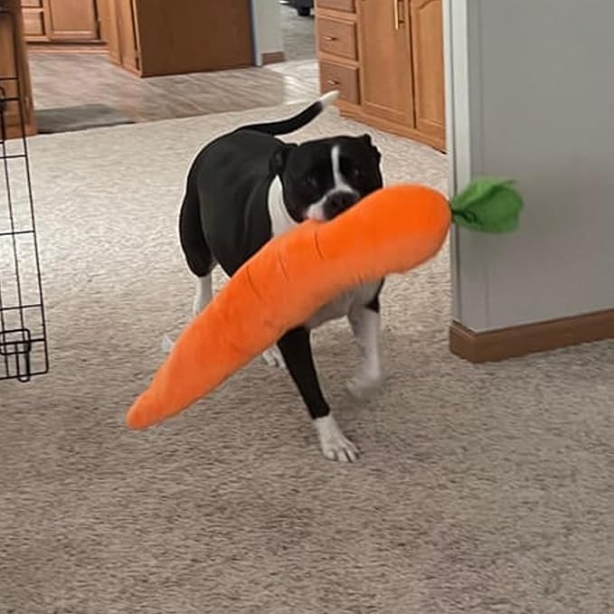 Giant Carrot Dog Toy, Dog Calming Carrot, Sturdy Plush Multi-squeaks Toys, Cute Stuffing Chew Boredom Toys for Indoor Small Medium Large Dogs (2)