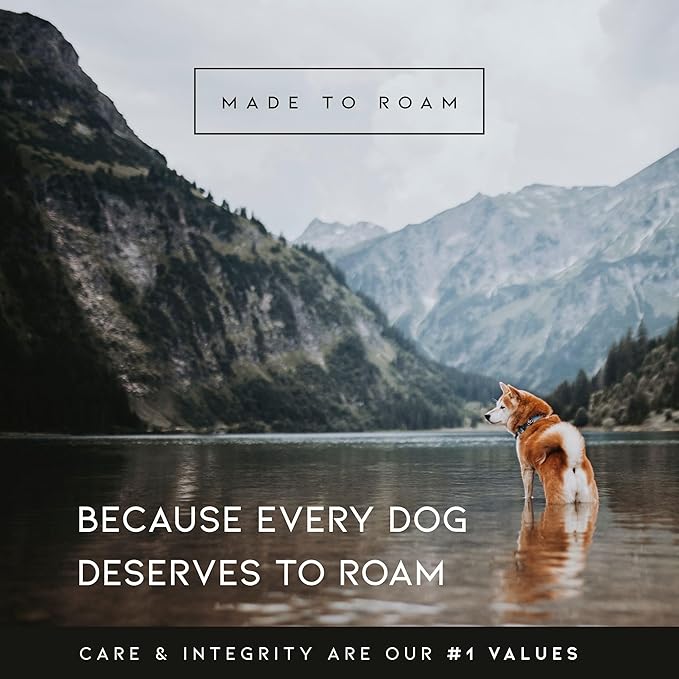 MADE TO ROAM Premium Explorer Harness - Y-Shaped Dog Harness with Adjustable Durable Nylon, Soft Padding, Metal Buckles and Leather Handle for Small, Medium, Large Dogs (Alaska Daybreak, Size 7)