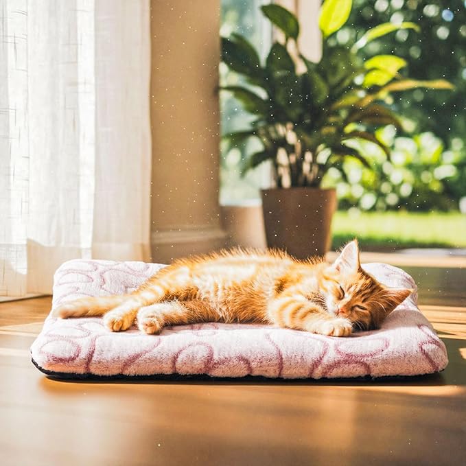 4 Pcs Dog Cat Bed Guinea Pig Mats Ultra Soft Dog Crate Kennel Pad Washable Bunny Bed Anti-Slip Guinea Pig Blankets for Small Animal Pet Cage Accessories(13.8 x 11.4 Inch)
