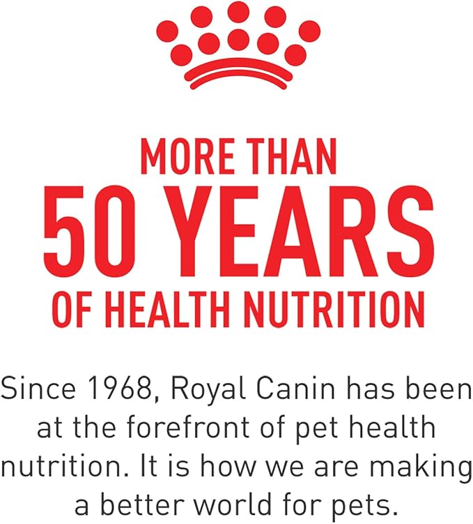 Royal Canin Breed Health Nutrition Maltese Adult Dry Dog Food, 10 lb Bag