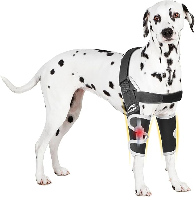 Dog Elbow Protector for Pets Elbow Dysplasia - Offers Elbow Support, Reflective Pet Recovery Suit Taper Collar Alternative, Helps Wound Healing, Prevents Licking, XXL
