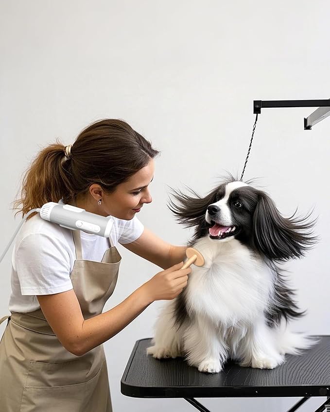 L&W BROS. Hands Free Dog Dryer – Powerful & Professional Pet Blow Dryer for Small & Medium Dogs & Cats, Adjustable Airflow, Easy Storage, Negative Ion Technology (White)