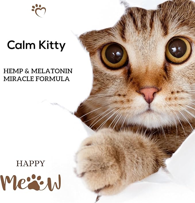 Busters 2Pack Calming Hemp Oil for Dogs, Cats, Infused with MELATONIN, Sleep Support, Soothing, Natural Relief, Ideal Omega Ratio, Adrenal Support (Calming Formula 2-Pack)