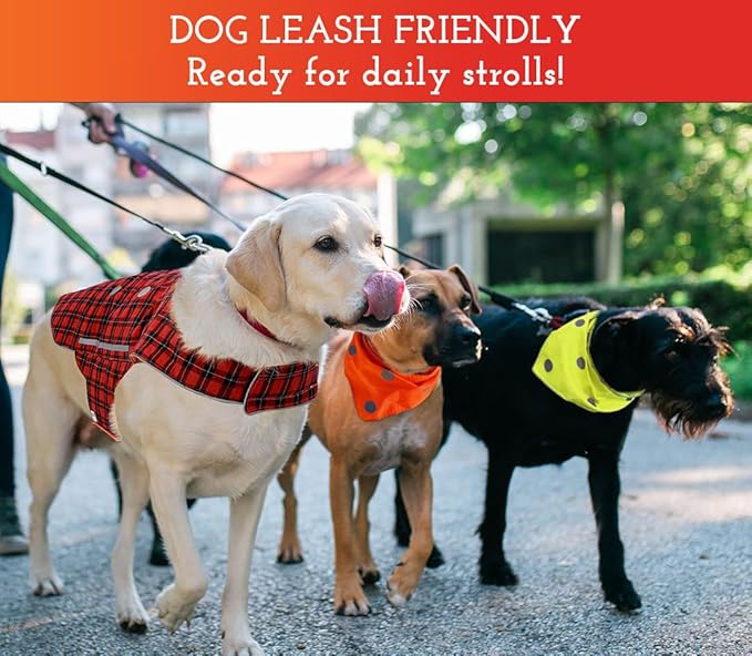 SPOT THE DOG! Reflective Dog Collar - Adjustable Pet Collars, Safe, Durable, Comfortable Dog Walking Accessories for Large Dog, Hunting Dog, Puppy, Lightweight Boy, Girl Dog Collars (Neon Pink, XL)