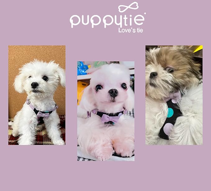 Puppytie No Pull Small Dog Harness with Multifunction Dog Leash,Lightweight Soft Adjustable No Choke Escape Proof Pet Harness Vest Pet Harness Vest,Polka dots Taro Purple,S