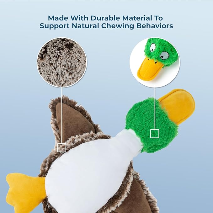 Best Pet Supplies Interactive Squeaky Dog Chew Toy, Ideal Dog Toys for Chewers, Small, Medium & Large Dogs, and Fetch Lovers - Mallard Duck (Gray), Small