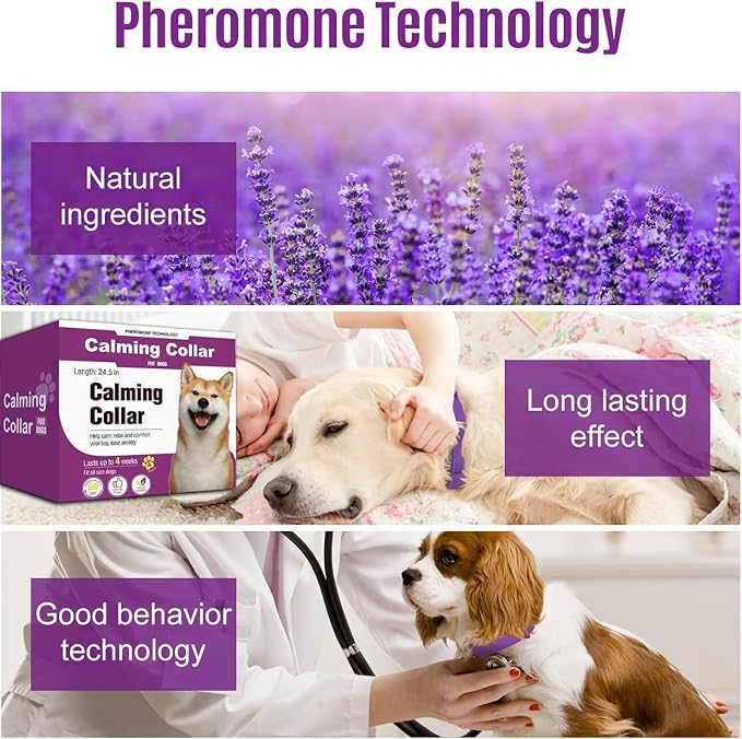 Calm Collar – 60-Day Pheromone Relief + Stress-Free Dog