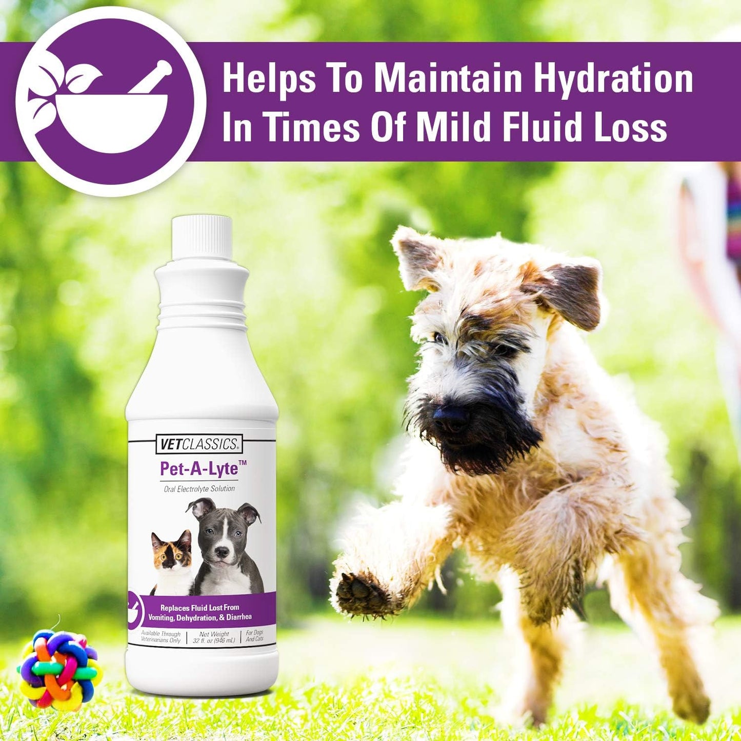 Classics Pet-A-Lyte Oral Electrolyte Solution for Dogs and Cats – Helps Replace Fluids Lost from Pet Dehydration, Diarrhea, Vomiting – Replaces Dog Electrolytes – 32 Oz.