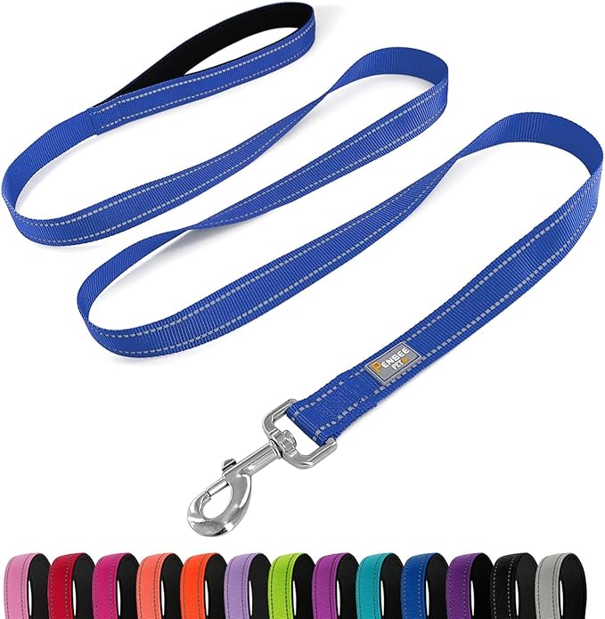 Dog Leash 6 FT Padded Handle Nylon Reflective Dogs Leashes for Large Dogs Blue