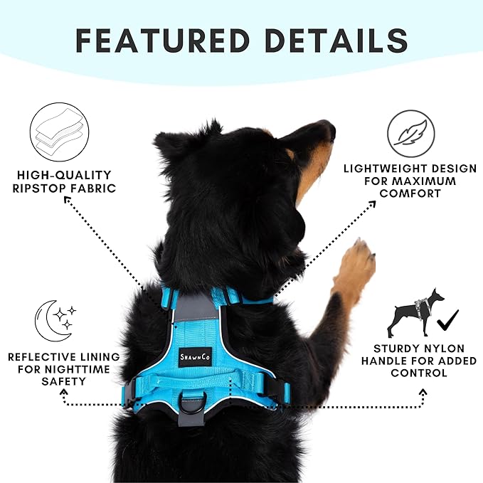 ShawnCo Basecamp Dog Harness, No-Pull Pet Vest with 3 Leash Clips, Padded, Reflective, Lightweight and Adjustable Harness with Handle for Small, Medium and Large Dogs (Electric Blue, XL)