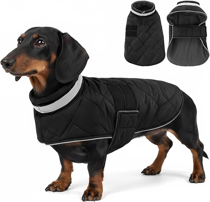 Dog Winter Coat Warm Padded Puppy Jacket Windproof Water Resistant Clothes for Small Medium Large Pets Christmas Sweater Outfit Vest(Black, M)