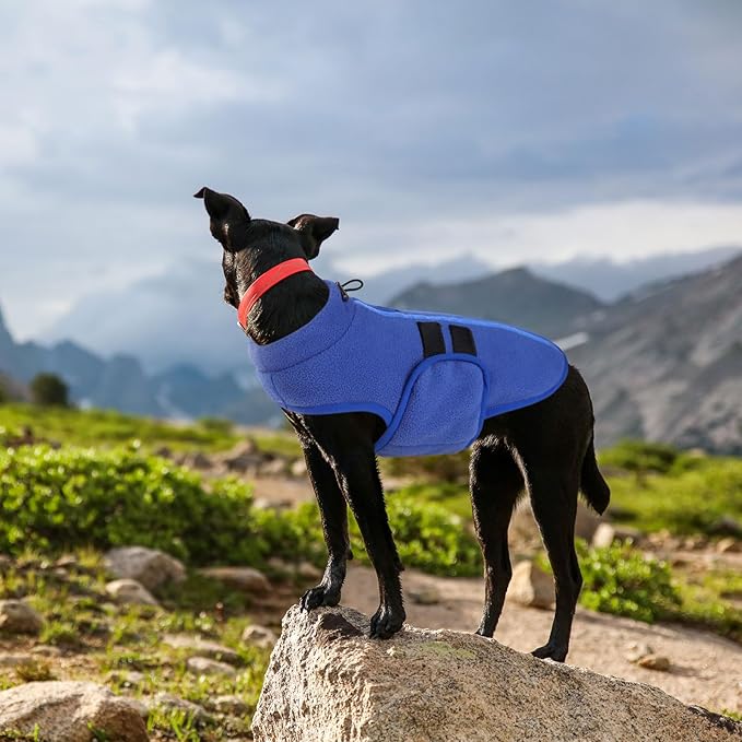 Queenmore Soft Fleece Dog Jacket, Warm Winter Coat with Leash Hole, Dachshund Sweaters for Small Dogs Cats (Blue, XL)