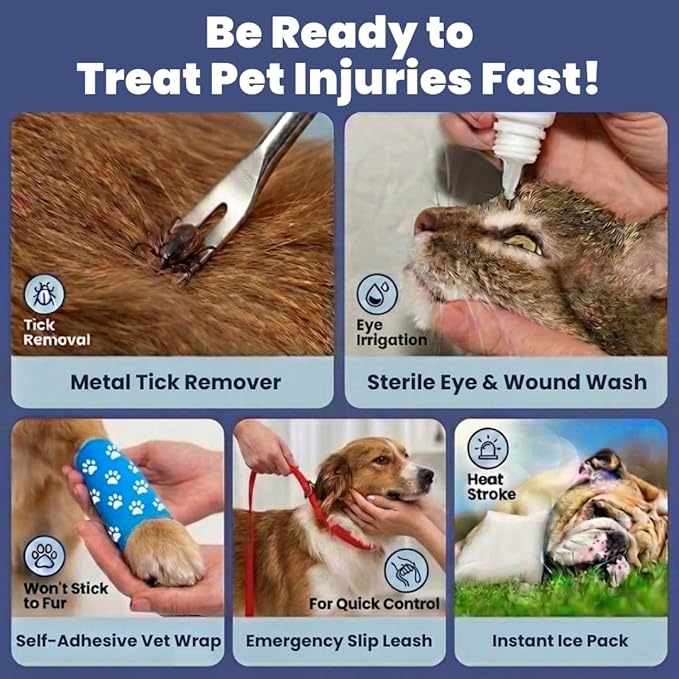 Dog First Aid Kit 3-Pack – 2 Hard-Sided & 1 Compact Travel Pet First Aid Kits – Vet-Approved Emergency Supplies with First Aid Guide, Tick Remover, Thermal Blanket for Hiking, Camping, Car, RV