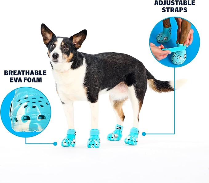BarkBox Aqua Crocs Dog Shoes – Set of 4 Glow-in-The-Dark Dog Booties with EVA Foam, Adjustable Strap & Non-Slip Sole – Comfortable Paw Protection for Medium Breeds (26-50 lbs)