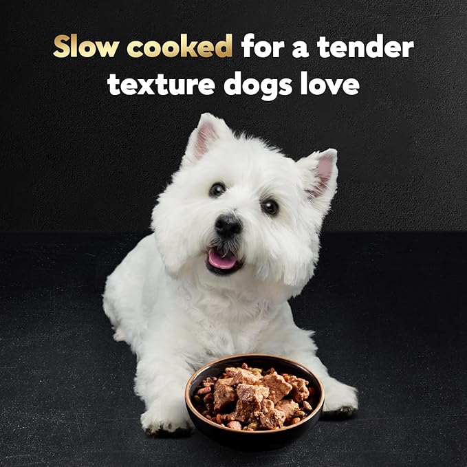 Cesar Classic Loaf in Sauce Adult Wet Dog Food Poultry Lovers Variety Pack with Real Chicken, Turkey or Duck, 3.5 oz. Easy Peel Trays, Pack of 36
