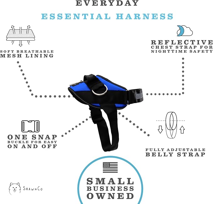 ShawnCo Essential Dog Harness, No-Pull Pet Vest with 3 Leash Clips, No Choke, Reflective, Adjustable and Padded, for Easy Walking and Training for Small, Medium and Large Dogs (Electric Blue,M)