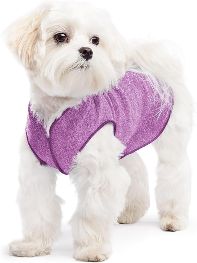 Goldpaw Dog Sun Shirt with UV Protection - Lightweight, Cooling Sun Protection Clothing for Dogs - Reduce Heat Absorption - Pet Clothes Made in The USA - Machine Washable - Violet - Size 8