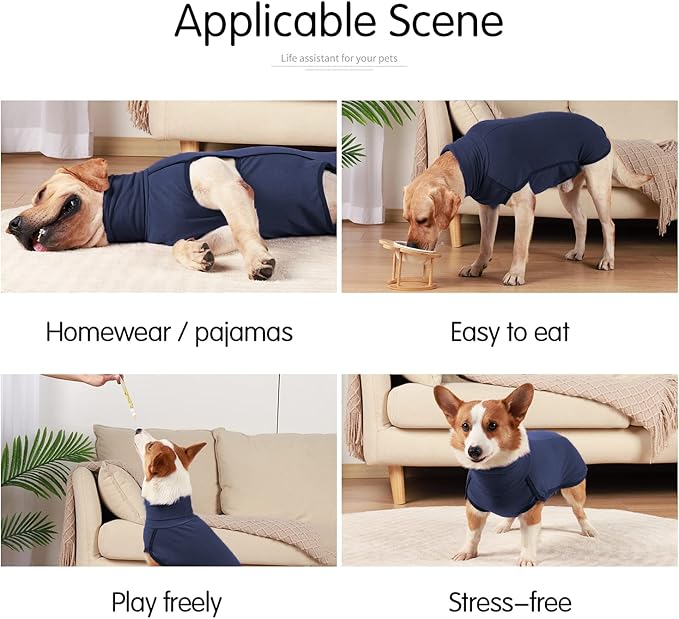 Dog Sweater Pullover Cold Weather Vest for Dogs Dog Sweatshirt & Jacket for Indoor and Outdoor Use (XX-Small, Navy Blue)