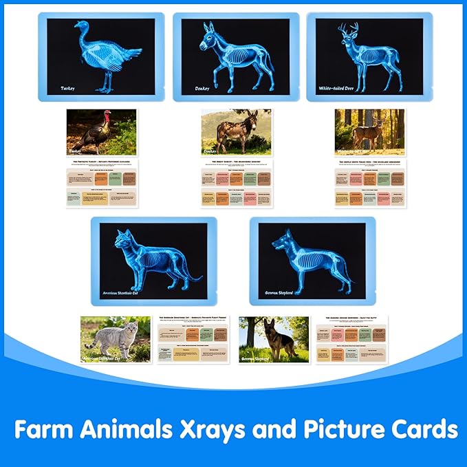 Farm Animal Xrays – 10 Pcs Animal Science Kit for Kids, Light Table Accessories for Vet Role Play & Preschool Learning