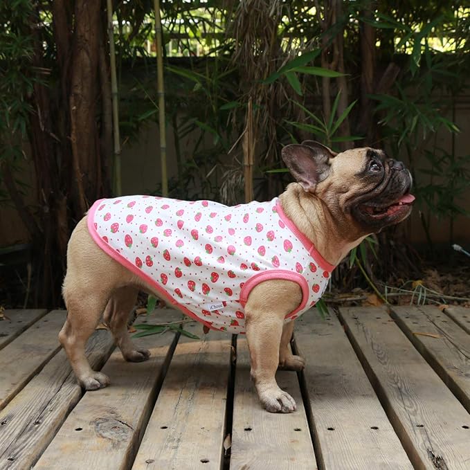 iChoue 3pcs French Bulldog Fruits Pattern Shirts 100% Breathable Cotton Tank Tops Vests Clothes for Frenchie Dogs, Strawberry Donuts Lemon, Large